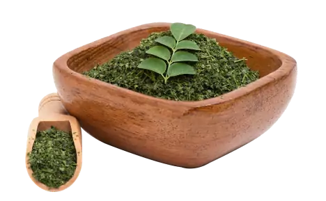 Moringa Image